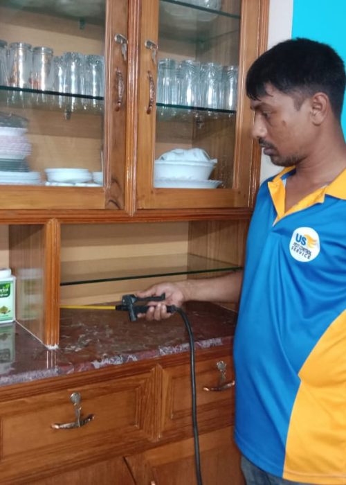 Termite Control Service dhaka