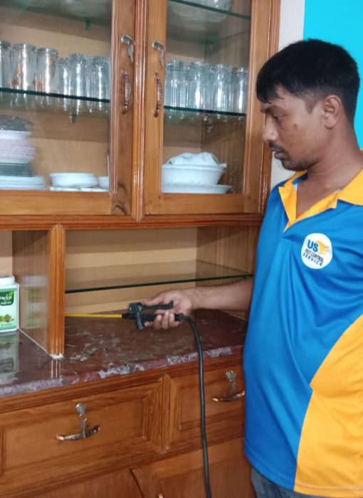 Termite Control Service dhaka